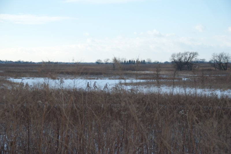 Xmas2010-7280.jpg - JACK KOZIK