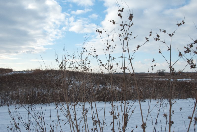 Xmas2010-7282.jpg - JACK KOZIK