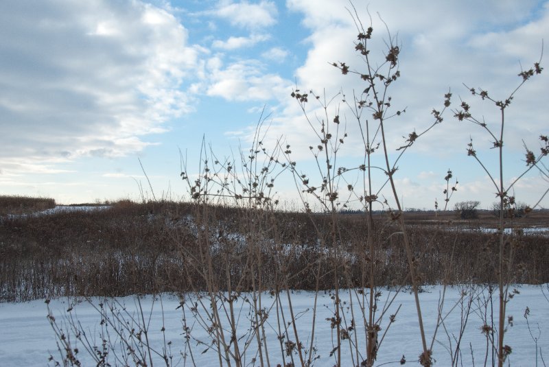 Xmas2010-7283.jpg - JACK KOZIK