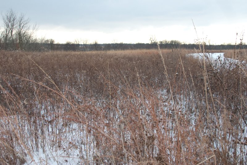 Xmas2010-7286.jpg - JACK KOZIK