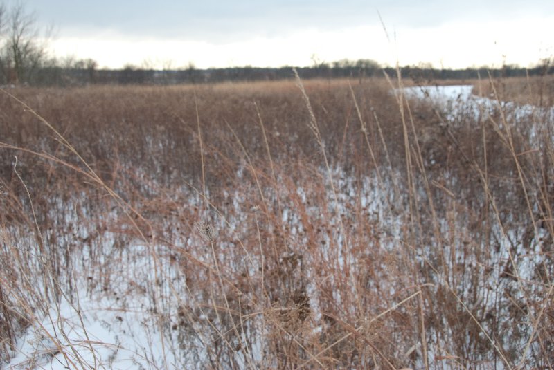 Xmas2010-7287.jpg - JACK KOZIK