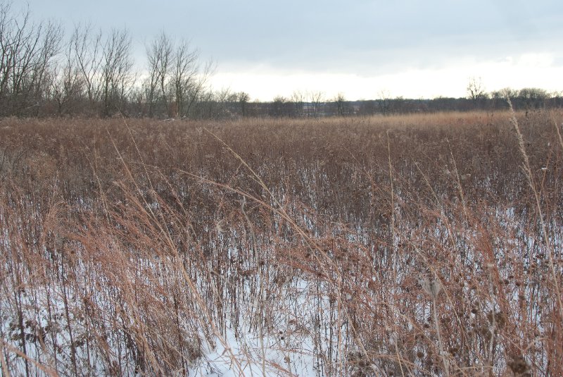 Xmas2010-7288.jpg - JACK KOZIK