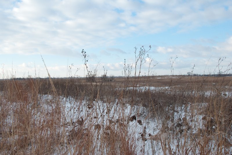 Xmas2010-7289.jpg - JACK KOZIK