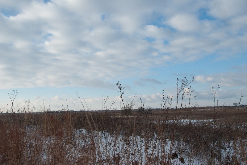 Xmas2010-7291.jpg - JACK KOZIK