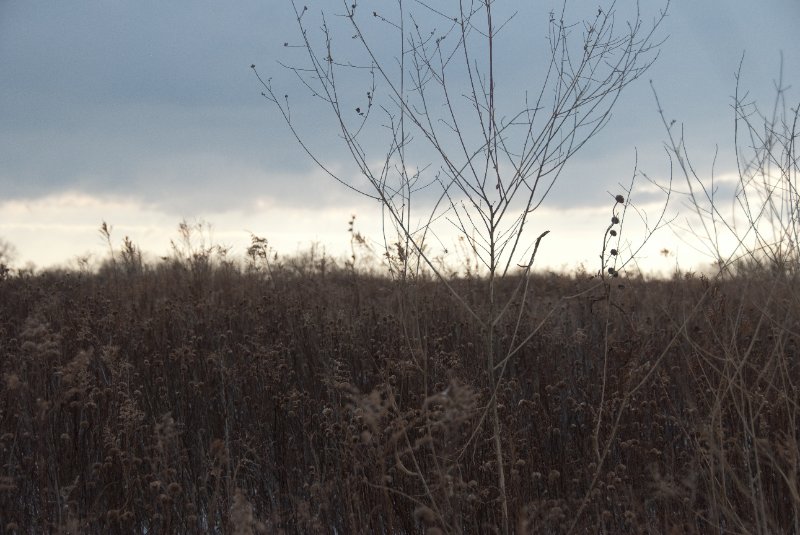 Xmas2010-7296.jpg - JACK KOZIK