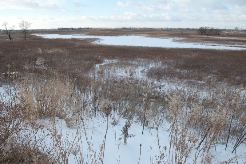 Xmas2010-7304.jpg - JACK KOZIK