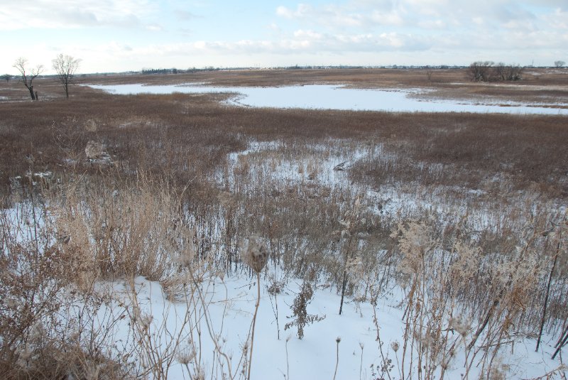 Xmas2010-7305.jpg - JACK KOZIK