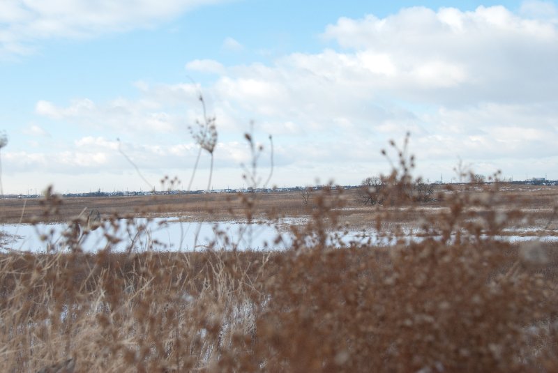 Xmas2010-7309.jpg - JACK KOZIK