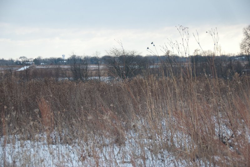 Xmas2010-7310.jpg - JACK KOZIK