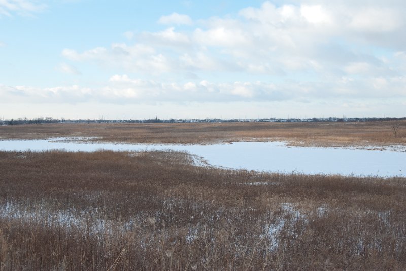 Xmas2010-7311.jpg - JACK KOZIK