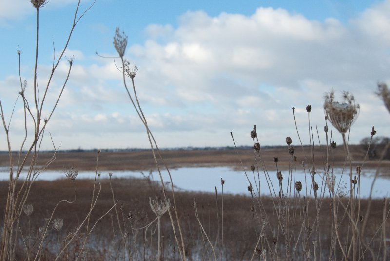 Xmas2010-7312.jpg - JACK KOZIK