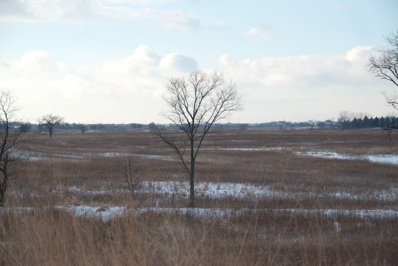 Xmas2010-7315.jpg - JACK KOZIK