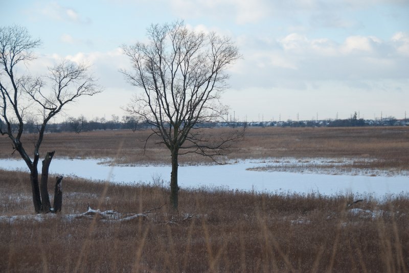 Xmas2010-7316.jpg - JACK KOZIK