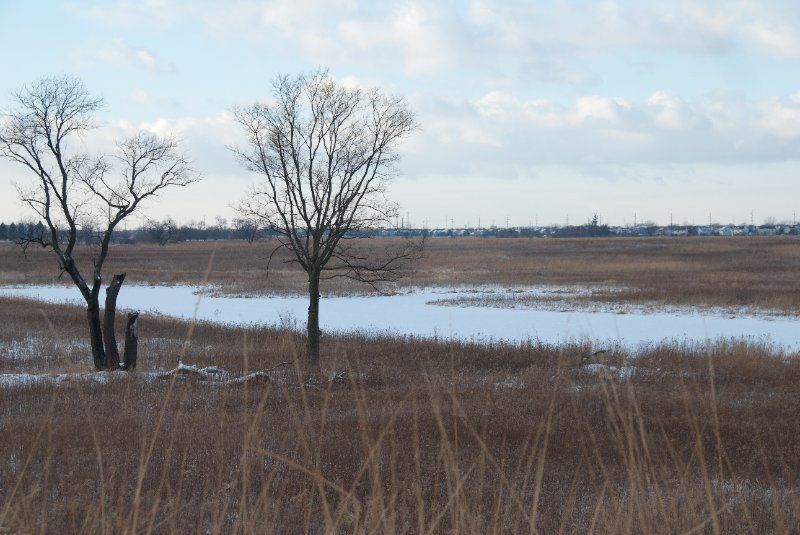 Xmas2010-7317.jpg - JACK KOZIK