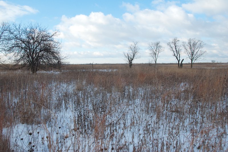 Xmas2010-7319.jpg - JACK KOZIK