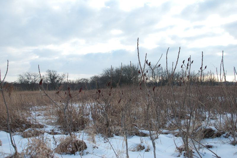 Xmas2010-7323.jpg - JACK KOZIK