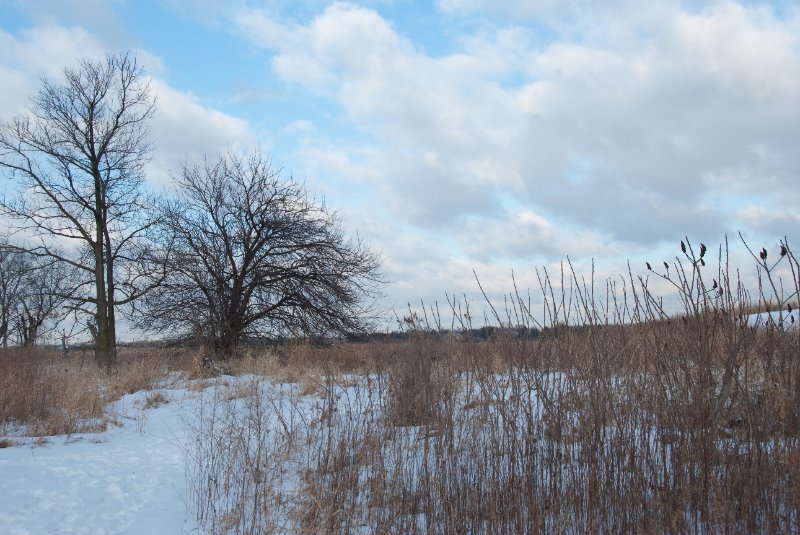 Xmas2010-7324.jpg - JACK KOZIK