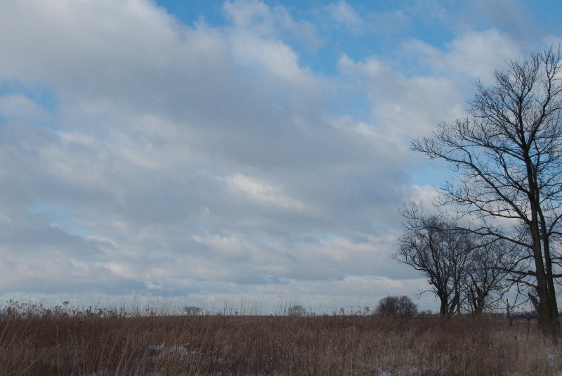 Xmas2010-7325.jpg - JACK KOZIK