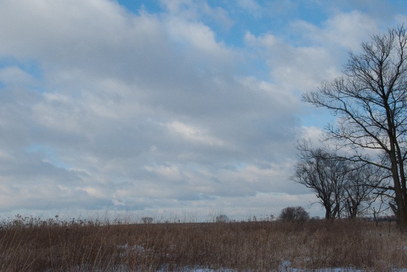 Xmas2010-7326.jpg - JACK KOZIK