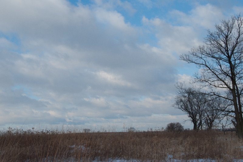 Xmas2010-7327.jpg - JACK KOZIK