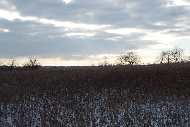 Xmas2010-7329.jpg - JACK KOZIK