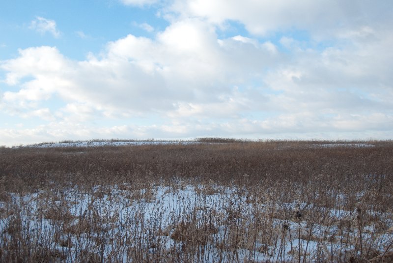 Xmas2010-7330.jpg - JACK KOZIK