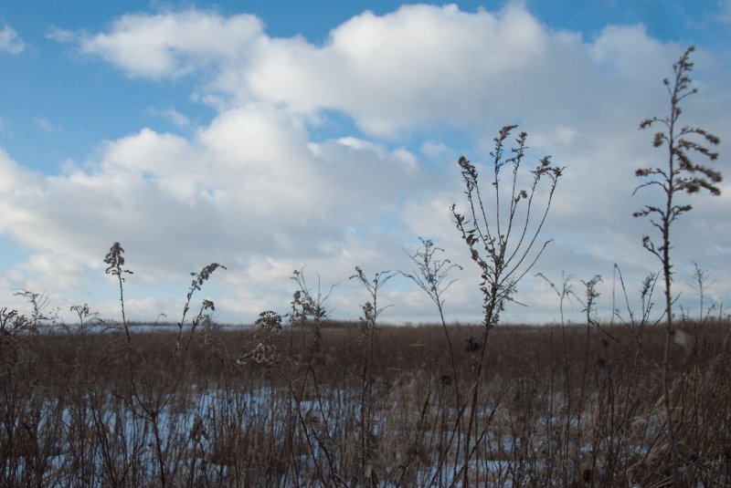 Xmas2010-7331.jpg - JACK KOZIK