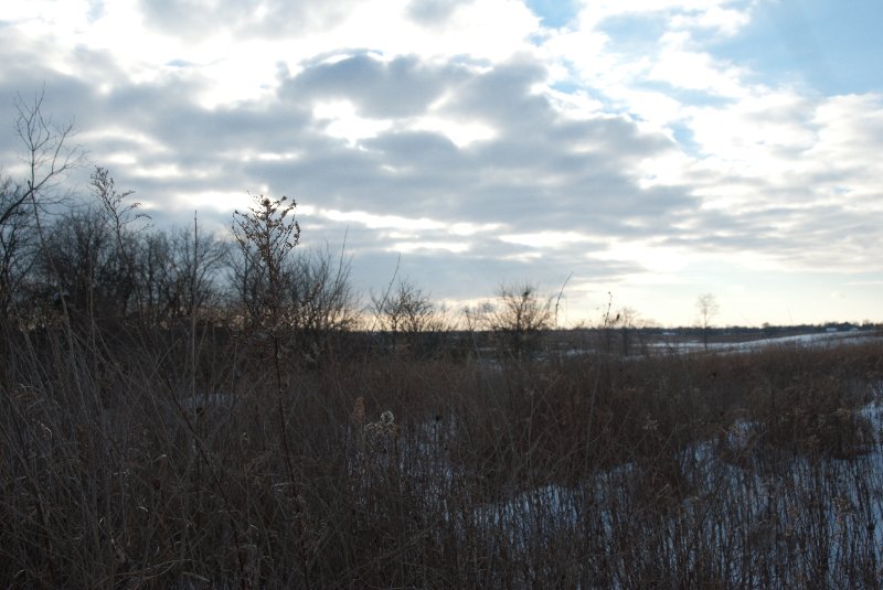 Xmas2010-7332.jpg - JACK KOZIK