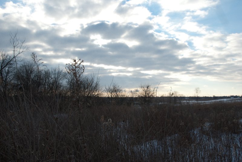 Xmas2010-7333.jpg - JACK KOZIK