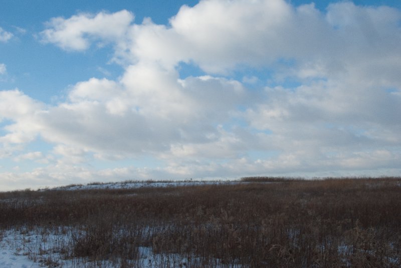 Xmas2010-7334.jpg - JACK KOZIK