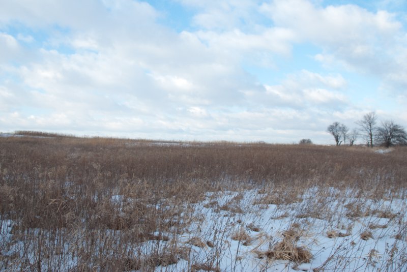 Xmas2010-7335.jpg - JACK KOZIK