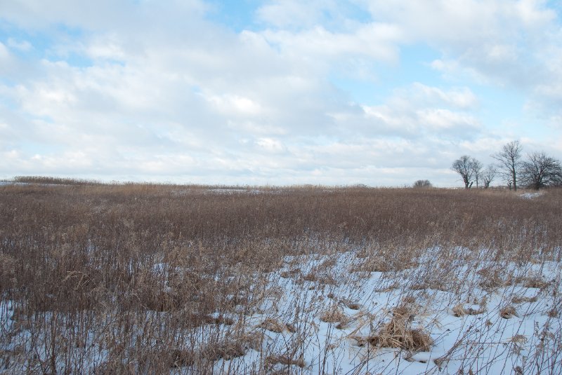 Xmas2010-7336.jpg - JACK KOZIK