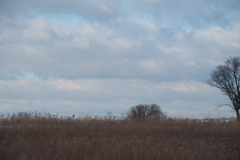 Xmas2010-7340.jpg - JACK KOZIK