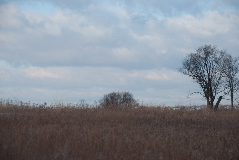 Xmas2010-7341.jpg - JACK KOZIK