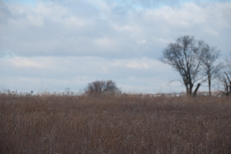 Xmas2010-7342.jpg - JACK KOZIK