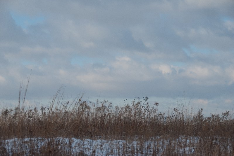 Xmas2010-7345.jpg - JACK KOZIK