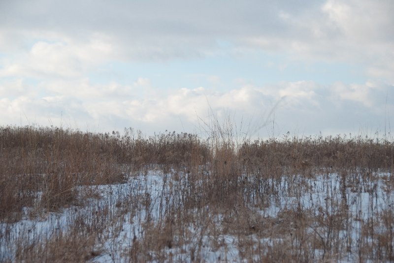 Xmas2010-7347.jpg - JACK KOZIK