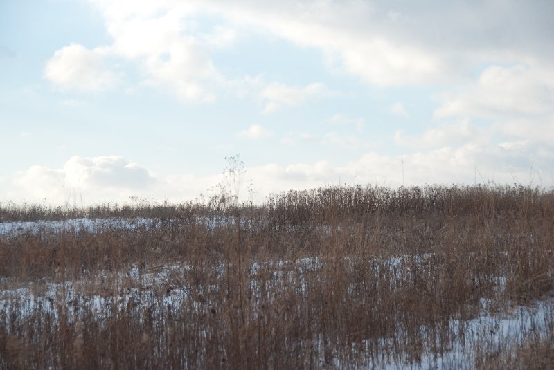 Xmas2010-7348.jpg - JACK KOZIK