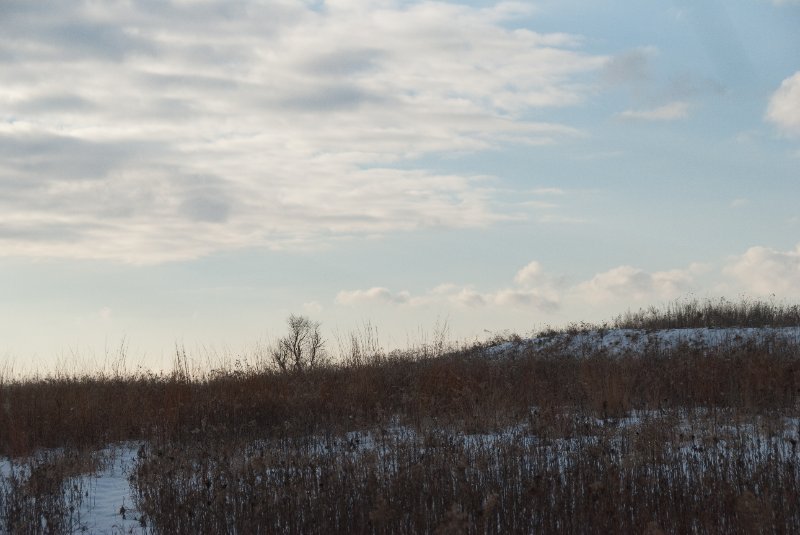 Xmas2010-7349.jpg - JACK KOZIK