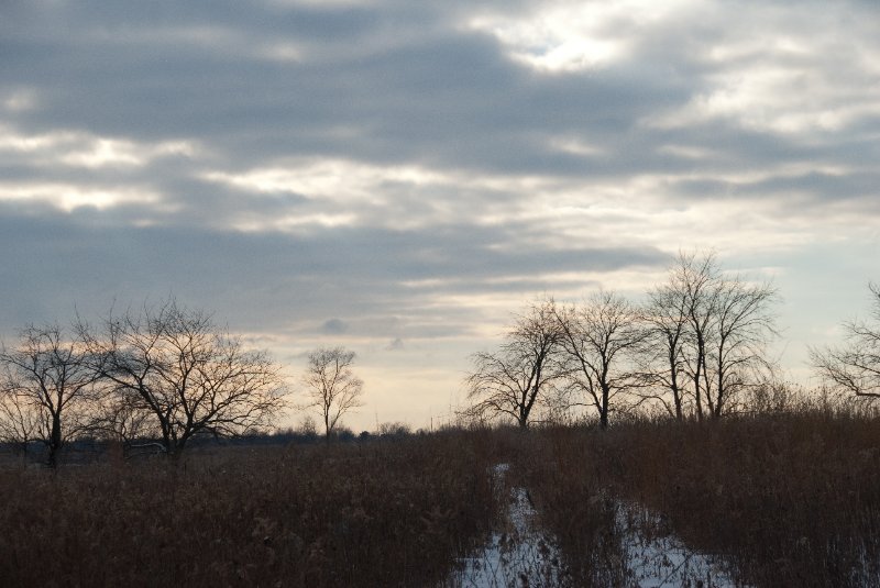 Xmas2010-7351.jpg - JACK KOZIK