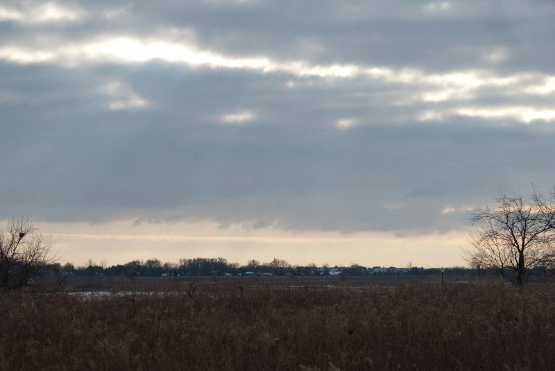 Xmas2010-7352.jpg - JACK KOZIK