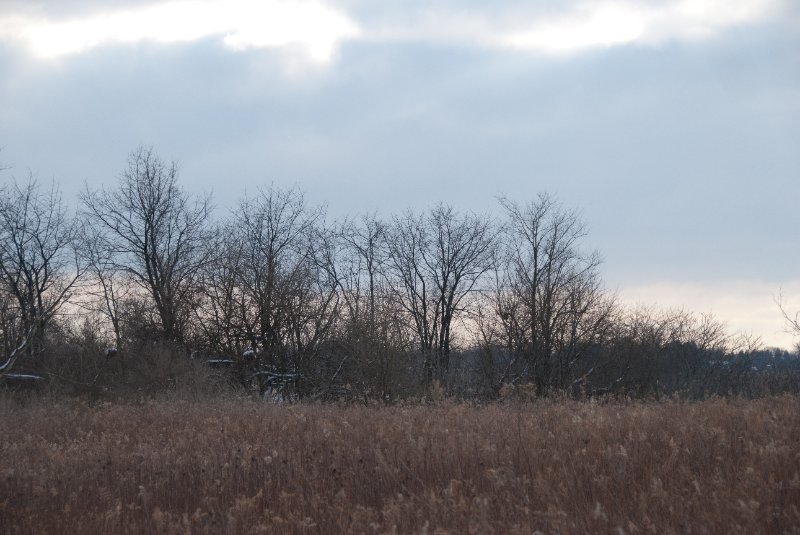 Xmas2010-7353.jpg - JACK KOZIK