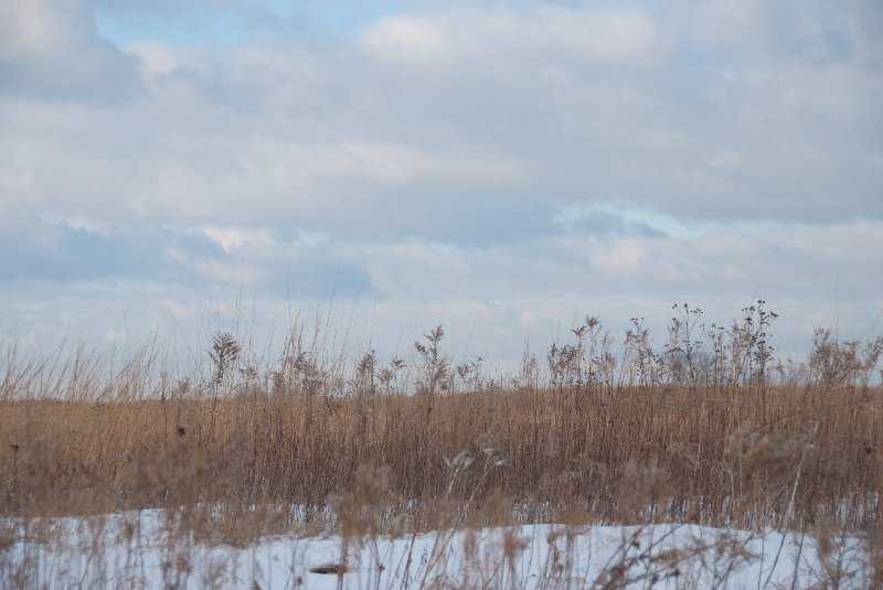 Xmas2010-7354.jpg - JACK KOZIK