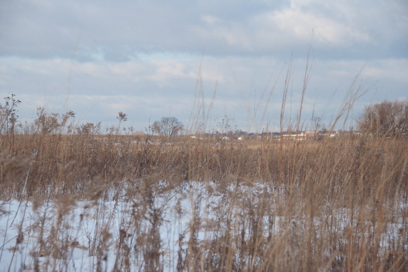 Xmas2010-7355.jpg - JACK KOZIK