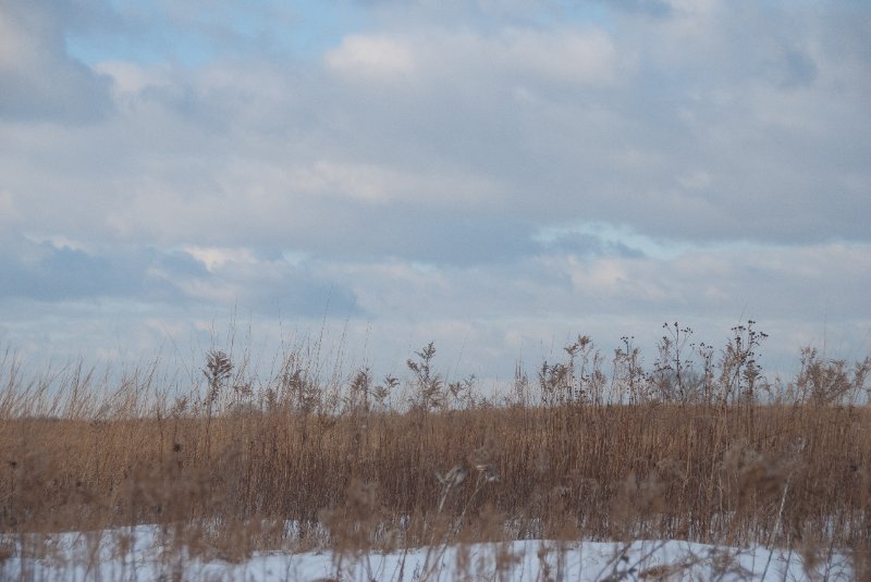 Xmas2010-7357.jpg - JACK KOZIK