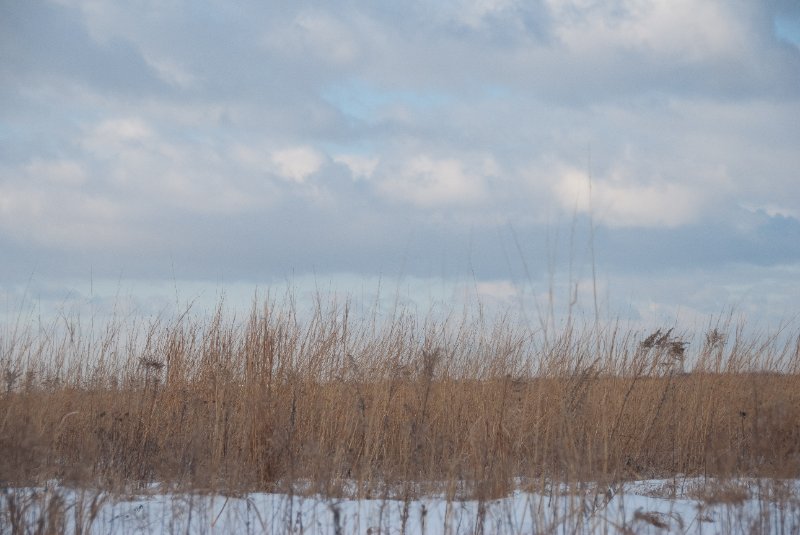 Xmas2010-7358.jpg - JACK KOZIK