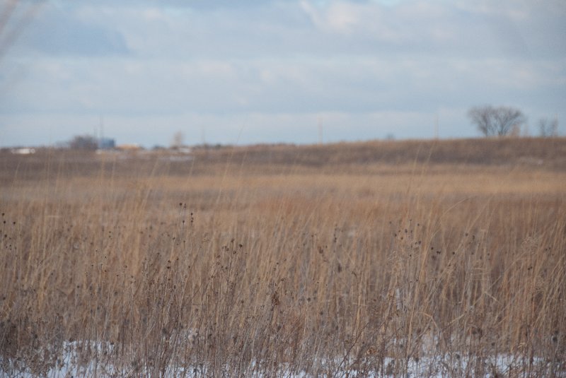 Xmas2010-7359.jpg - JACK KOZIK