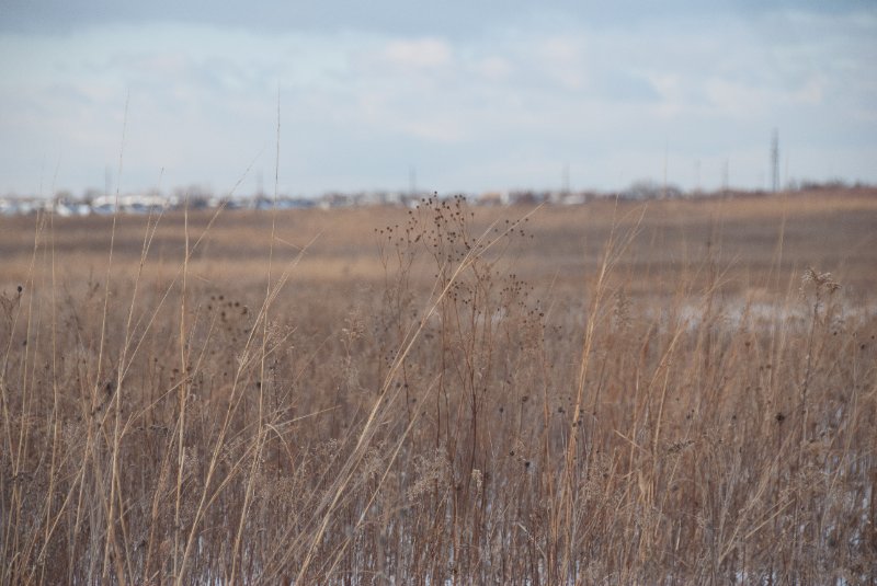 Xmas2010-7360.jpg - JACK KOZIK