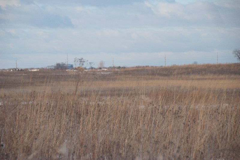 Xmas2010-7362.jpg - JACK KOZIK