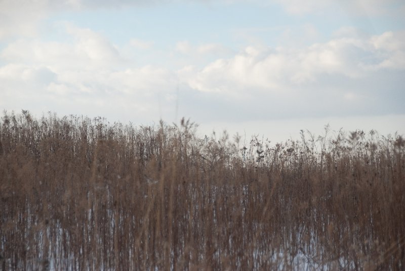 Xmas2010-7365.jpg - JACK KOZIK